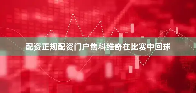 配资正规配资门户焦科维奇在比赛中回球