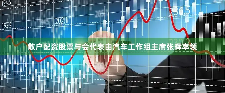 散户配资股票与会代表由汽车工作组主席张晖率领