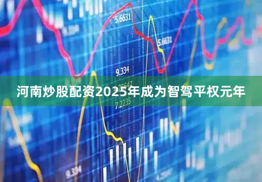 河南炒股配资2025年成为智驾平权元年